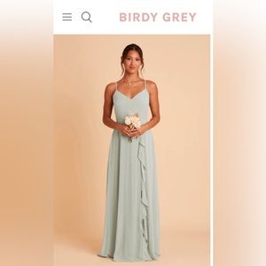Birdy Grey Theresa Chiffon Sage Dress